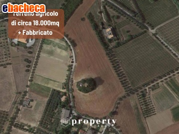 appartamento in vendita a Monteprandone