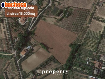terreno agricolo in vendita a Monteprandone