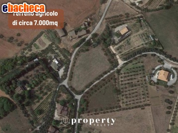 terreno agricolo in vendita a Monteprandone