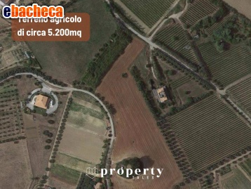 terreno agricolo in vendita a Monteprandone