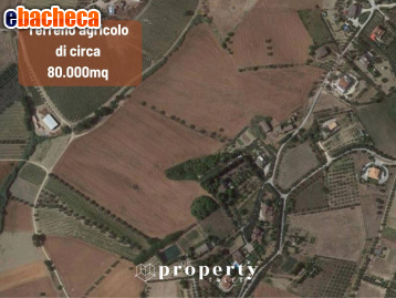 terreno agricolo in vendita a Monteprandone