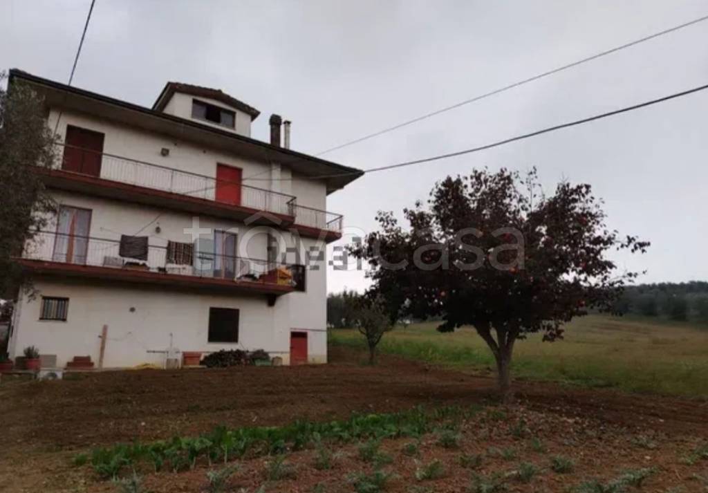 appartamento in vendita a Monteprandone