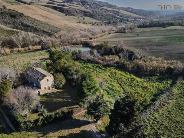 esavano in vendita a Monteprandone