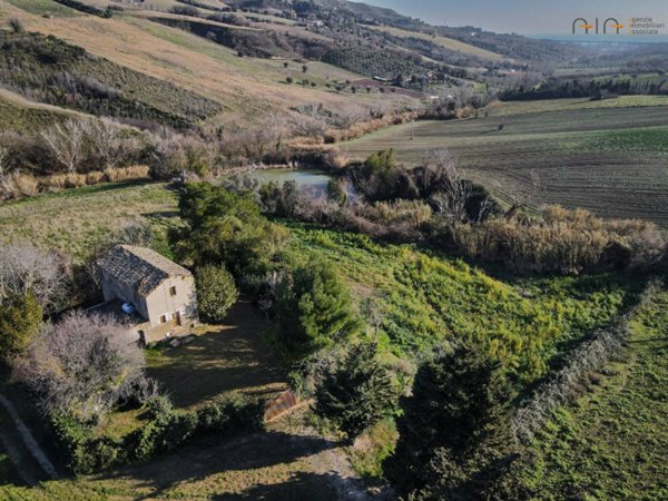 esavano in vendita a Monteprandone