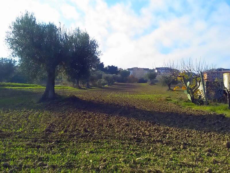 casa indipendente in vendita a Monteprandone