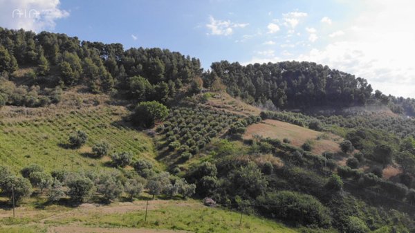 terreno agricolo in vendita a Monteprandone