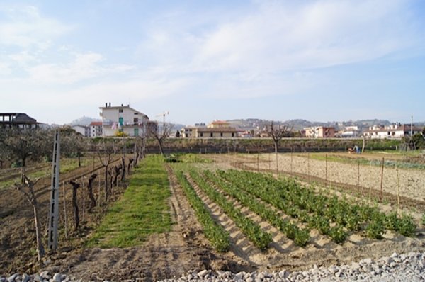 appartamento in vendita a Monteprandone in zona Centobuchi