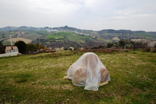 terreno agricolo in vendita a Monteprandone