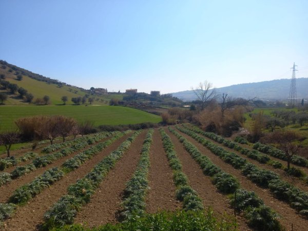 casa indipendente in vendita a Monteprandone
