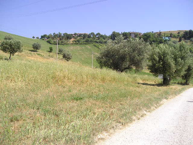 casa indipendente in vendita a Monteprandone