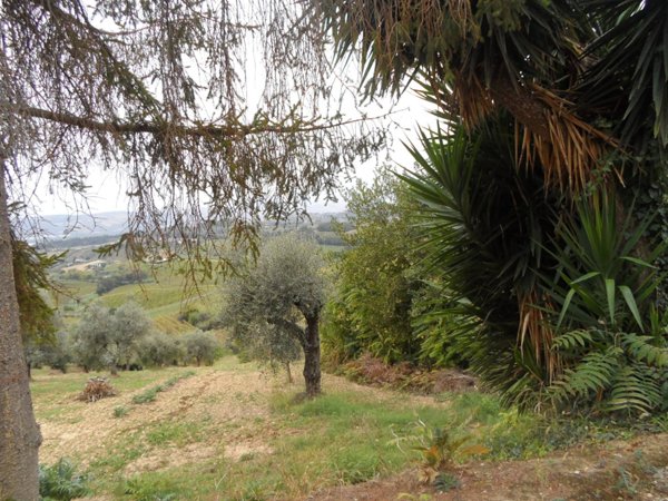 casa indipendente in vendita a Monteprandone