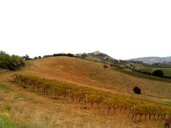 casa indipendente in vendita a Monteprandone