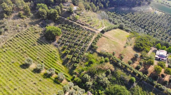 terreno agricolo in vendita a Monteprandone