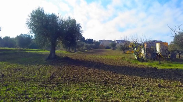 casa indipendente in vendita a Monteprandone