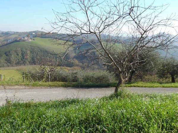 casa indipendente in vendita a Monteprandone