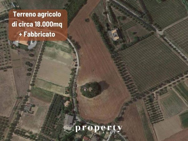 casale in vendita a Monteprandone