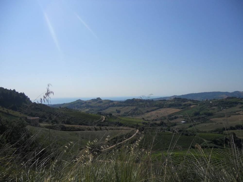 casale in vendita a Monteprandone