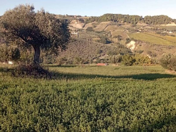 terreno agricolo in vendita a Monteprandone