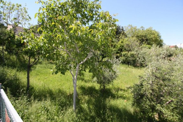 terreno edificabile in vendita a Monteprandone