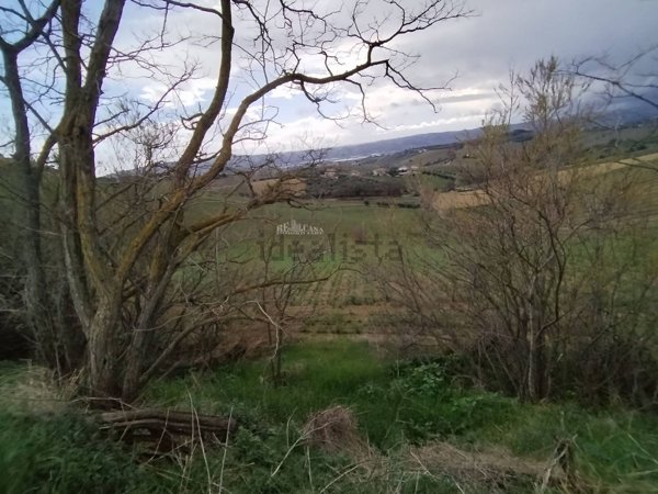 casa indipendente in vendita a Monteprandone