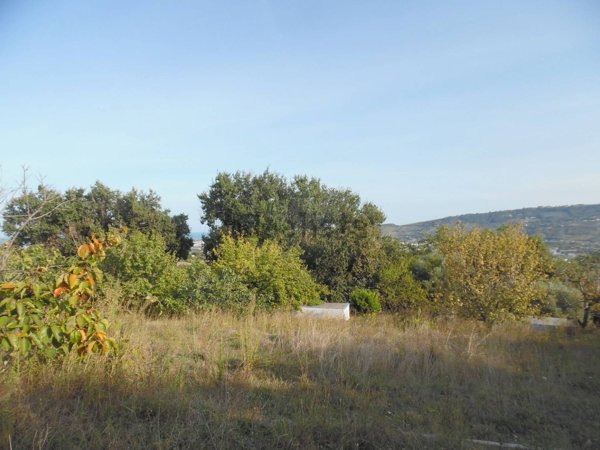 casa indipendente in vendita a Monteprandone in zona Centobuchi