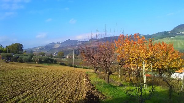 casa indipendente in vendita a Monteprandone