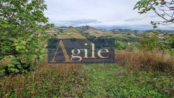terreno agricolo in vendita a Monteprandone