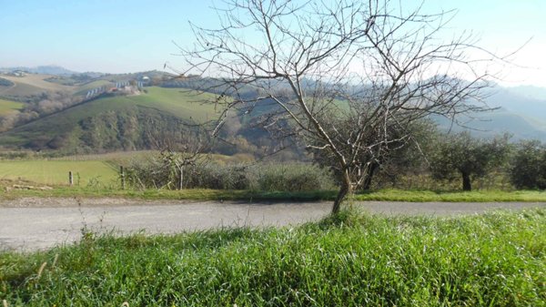 casa indipendente in vendita a Monteprandone