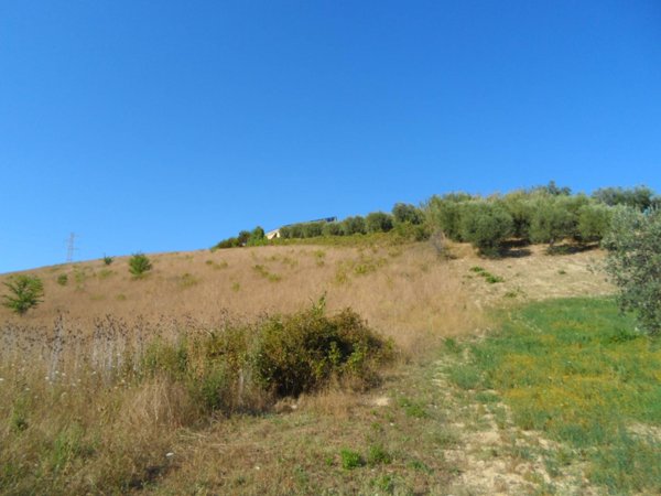 casa indipendente in vendita a Monteprandone in zona Centobuchi