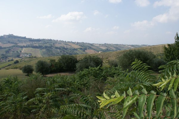 appartamento in vendita a Monteprandone