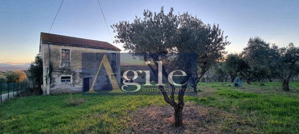 appartamento in vendita a Monteprandone