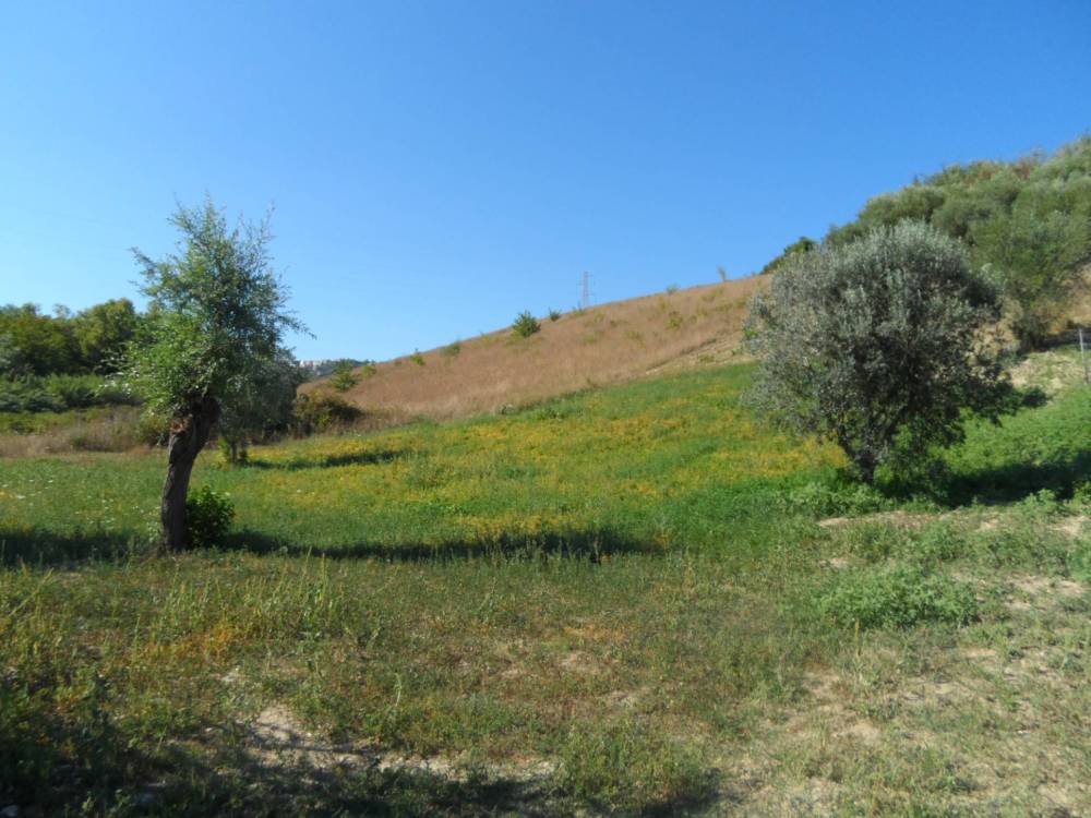 casa indipendente in vendita a Monteprandone in zona Centobuchi