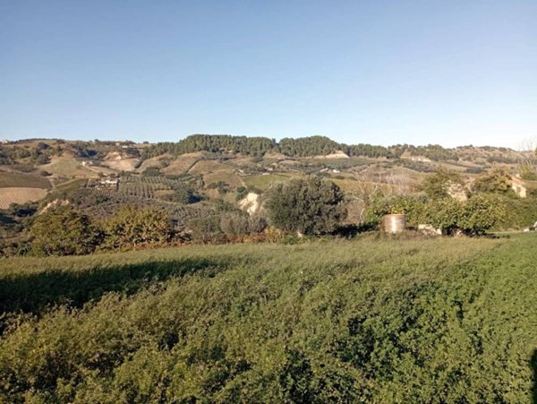 terreno agricolo in vendita a Monteprandone
