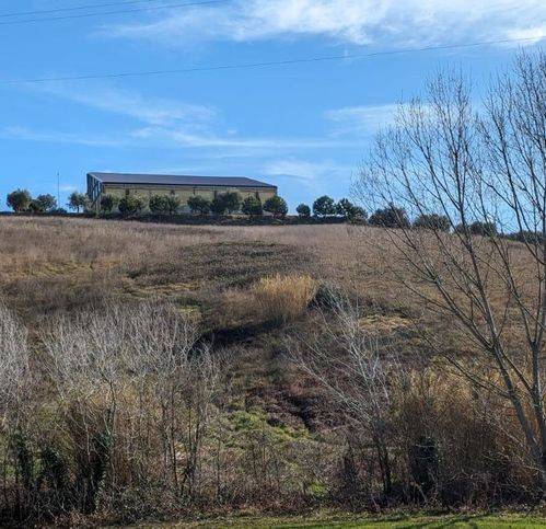 terreno agricolo in vendita a Monteprandone in zona Centobuchi