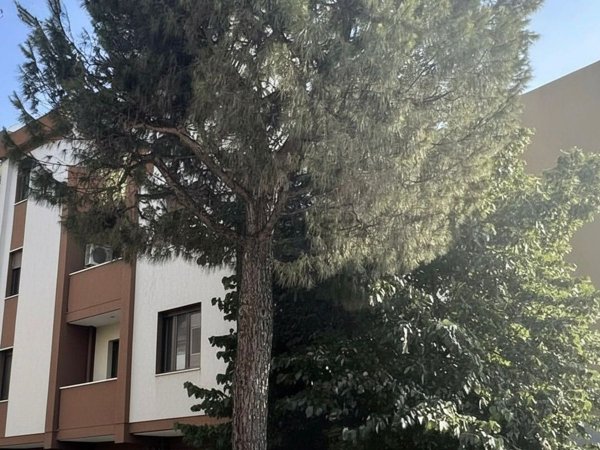 appartamento in vendita a Monteprandone in zona Centobuchi