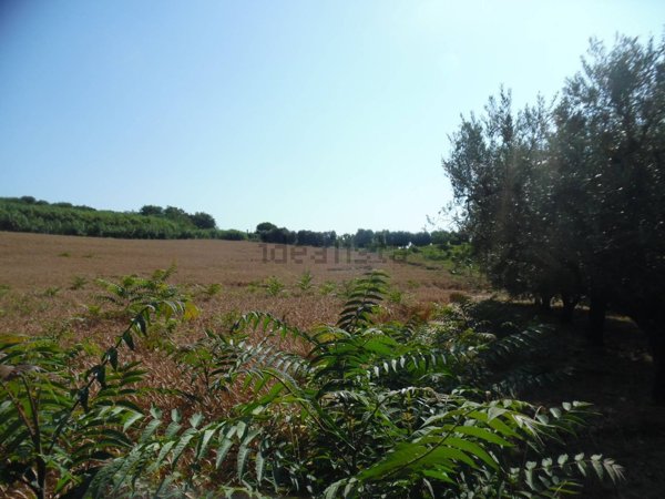 casa indipendente in vendita a Monteprandone in zona Centobuchi
