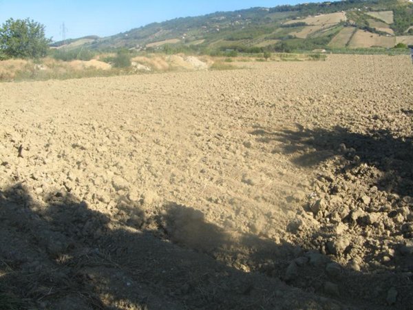 terreno in vendita a Monteprandone