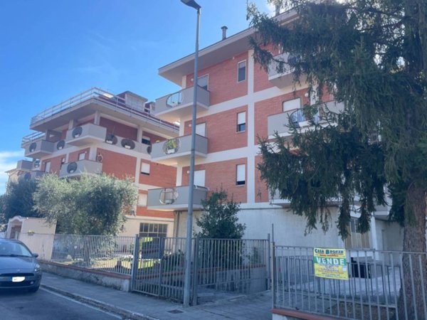 immagine annuncio 0 di 13