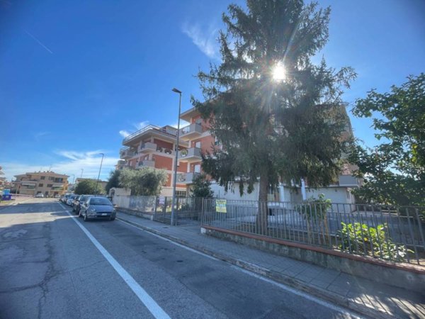 immagine annuncio 0 di 13