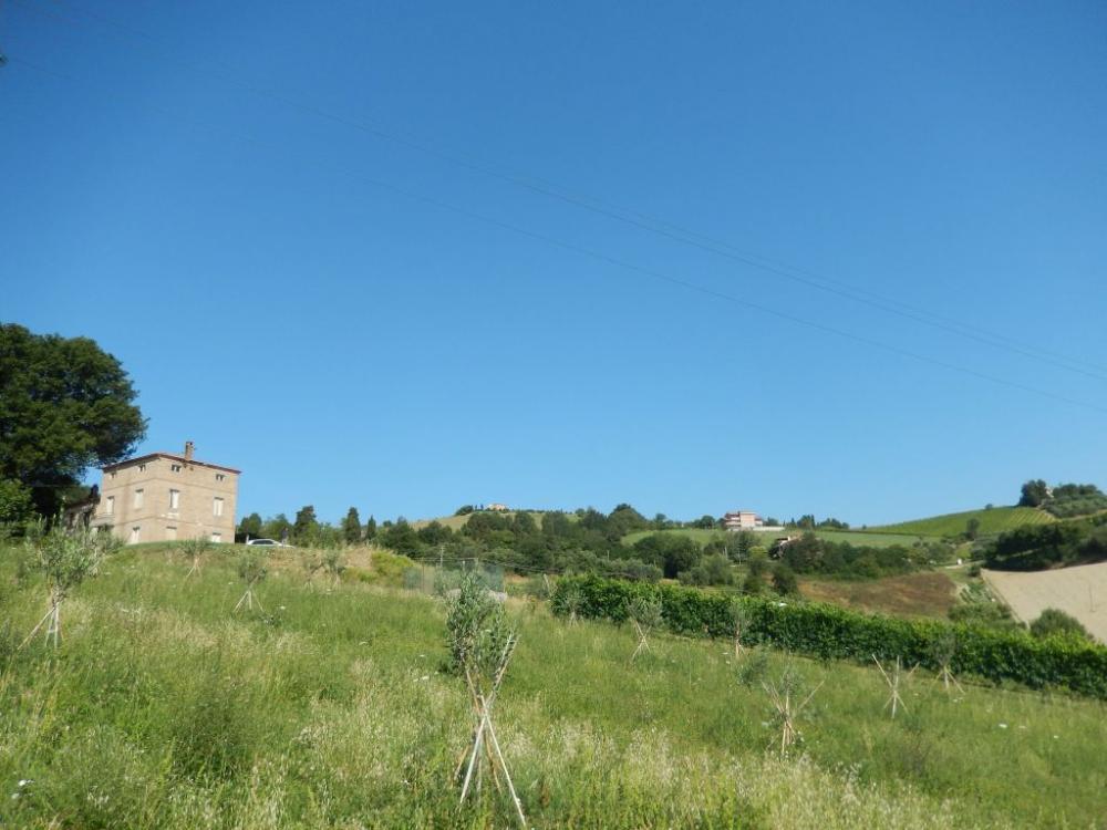 casa indipendente in vendita ad Offida
