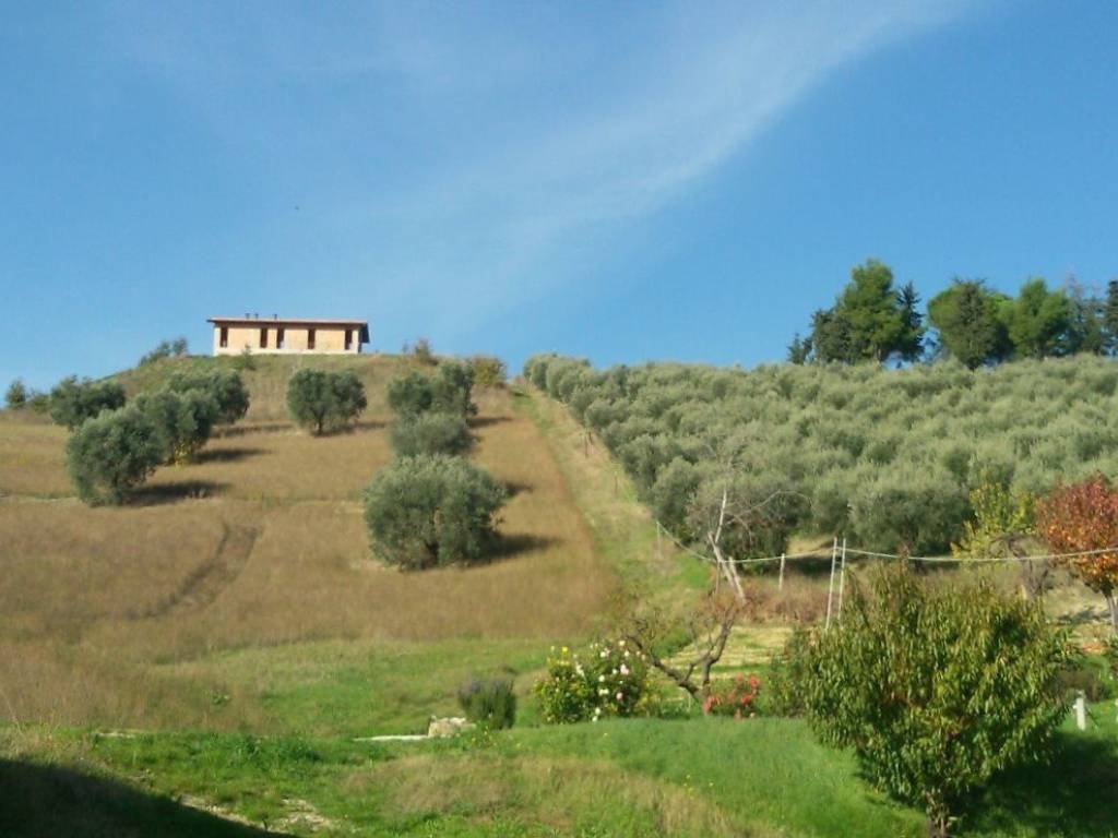 casa indipendente in vendita ad Offida