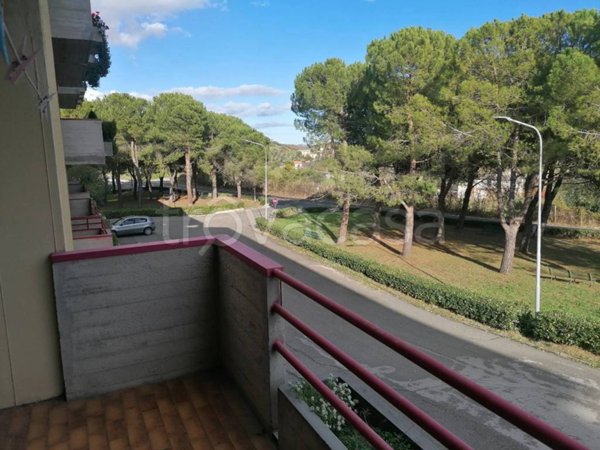 appartamento in vendita ad Offida