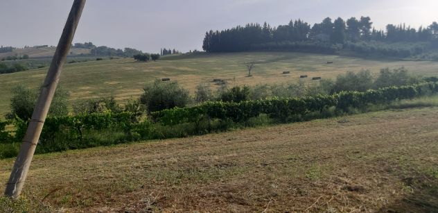 terreno agricolo in vendita ad Offida