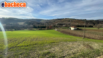 casa indipendente in vendita ad Offida