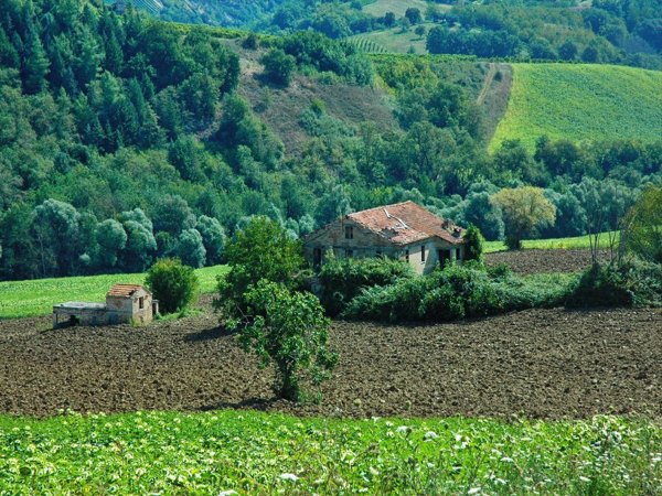 casa indipendente in vendita ad Offida