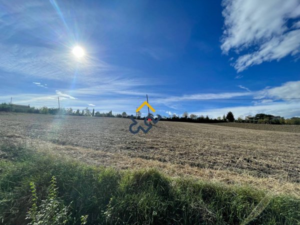 terreno agricolo in vendita ad Offida in zona San Barnaba