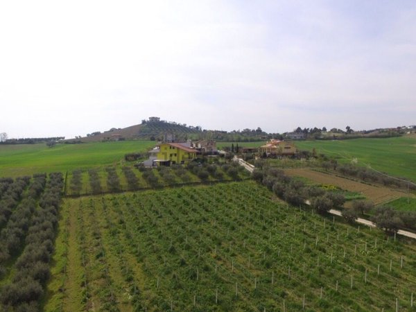 appartamento in vendita ad Offida in zona Borgo Miriam