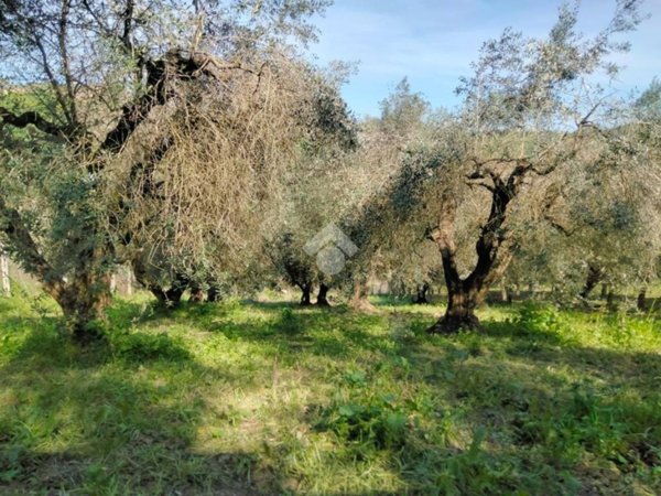 terreno agricolo in vendita ad Offida
