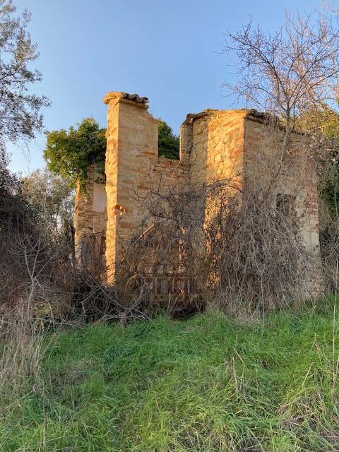 casa indipendente in vendita ad Offida