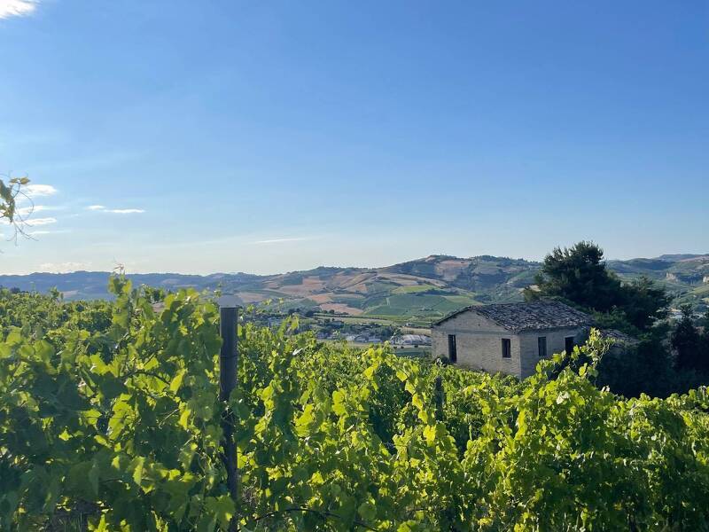 casa indipendente in vendita ad Offida